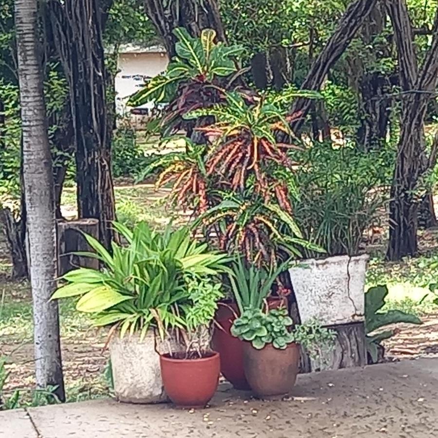 La Veranera, Playa El Coco San Juan del Sur Kültér fotó