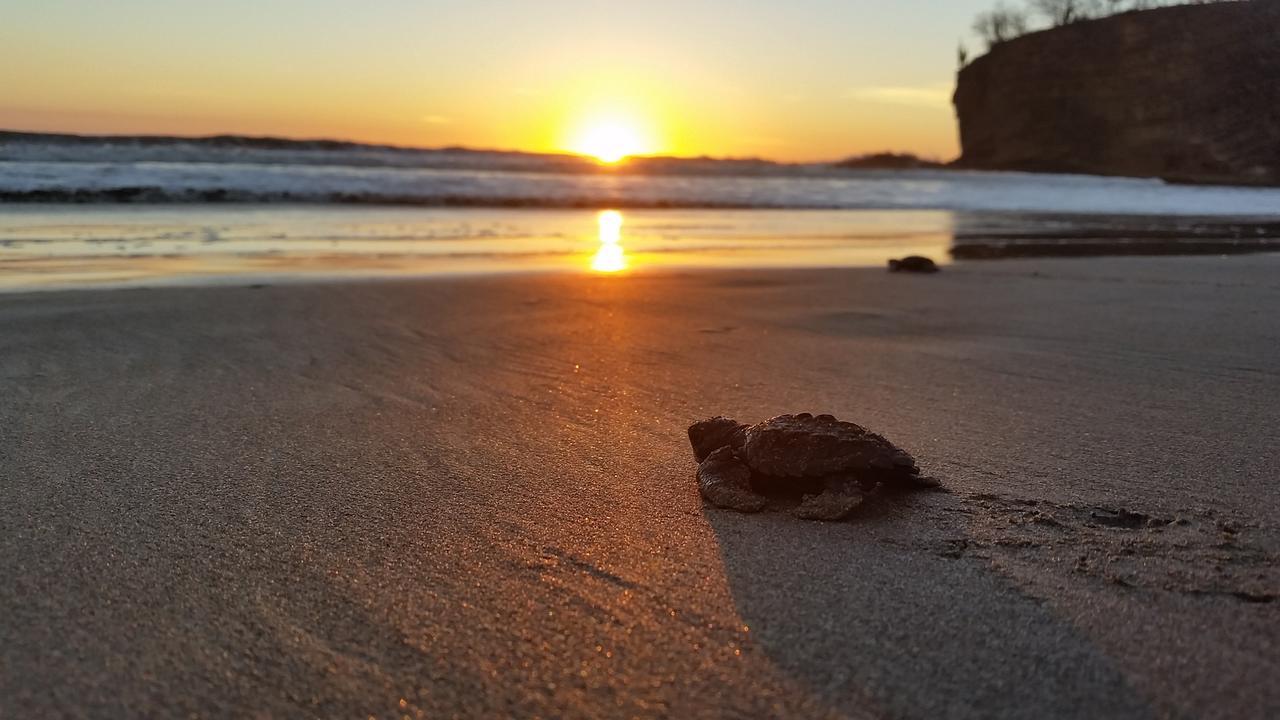 La Veranera, Playa El Coco San Juan del Sur Kültér fotó